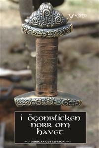 i-ogonblicken-norr-om-havet