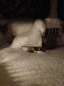 12539998_10153377332072817_62356326_n